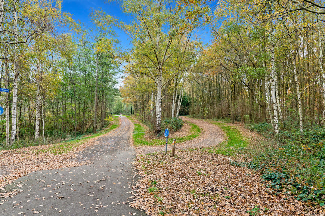 Photo 38 of Elsbes 45