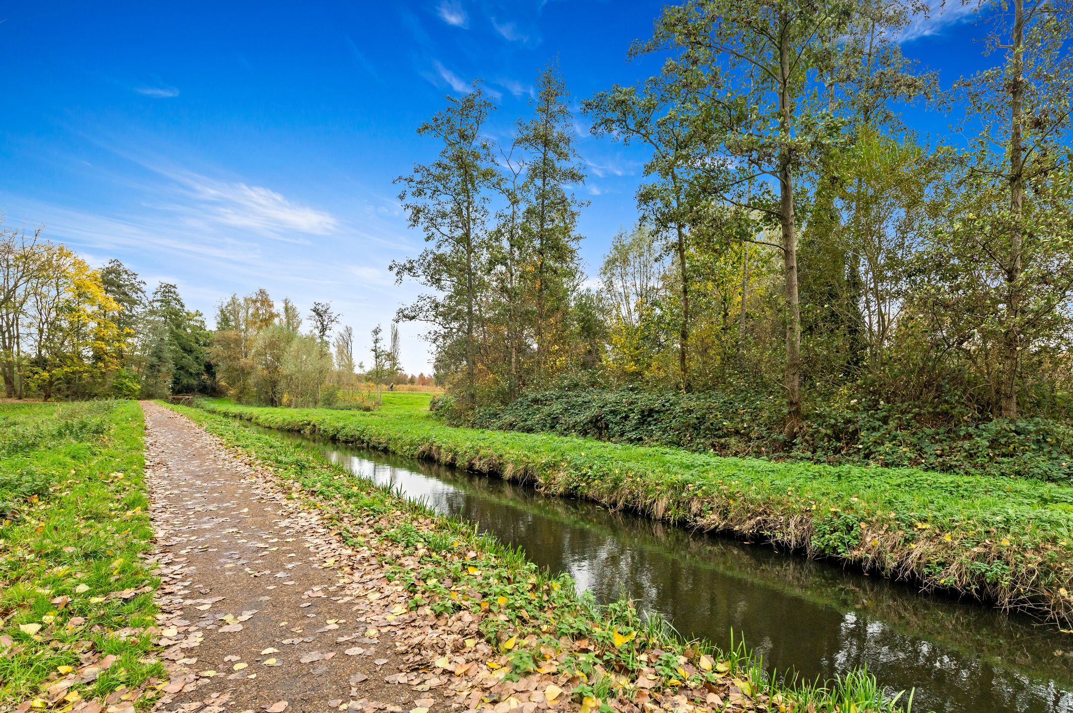 Photo 39 of Elsbes 45