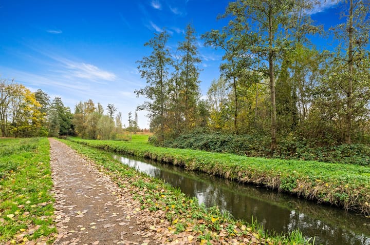 Photo 39 of Elsbes 45