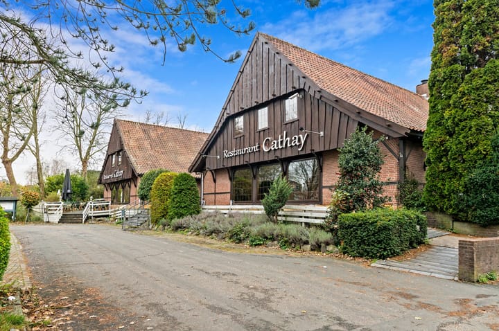 Photo 42 of Elsbes 45