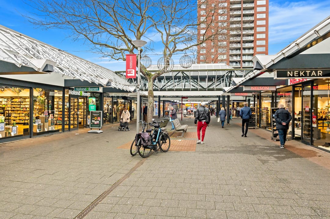 Photo 43 of Elsbes 45