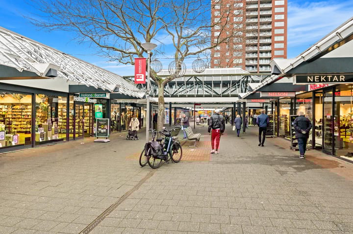 Photo 43 of Elsbes 45