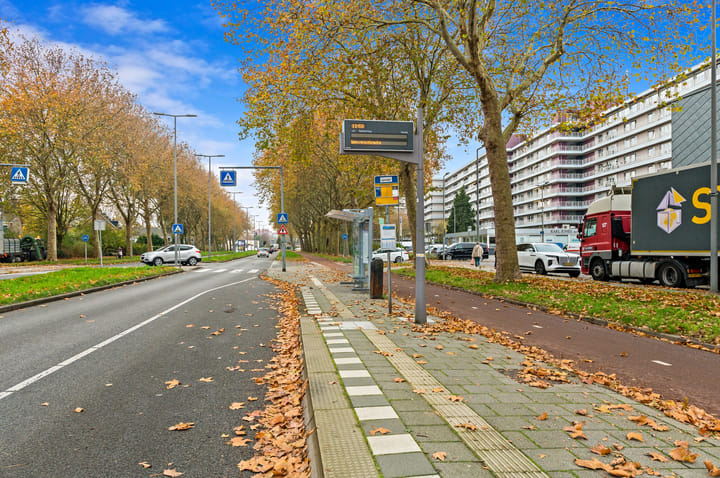 Photo 45 of Elsbes 45