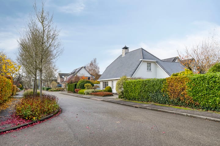 Foto 7 van Jufferpad 58