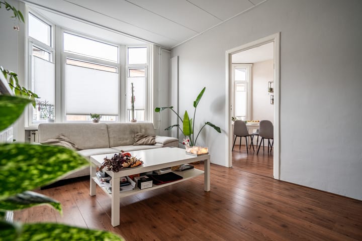 Photo 6 of van Wassenaerstraat 21