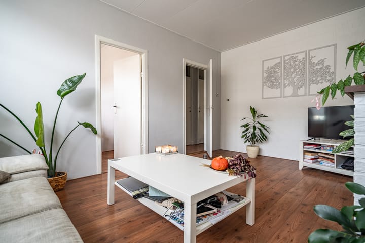 Photo 12 of van Wassenaerstraat 21