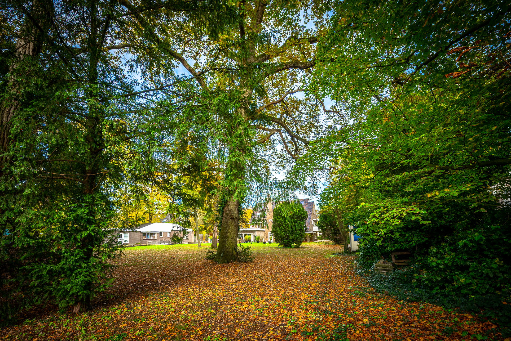 Foto 48 van Utrechtseweg 56