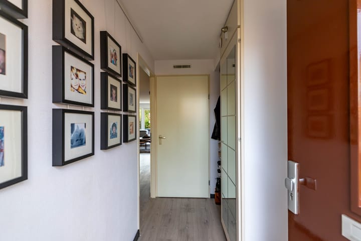 Photo 6 of Meerval 10