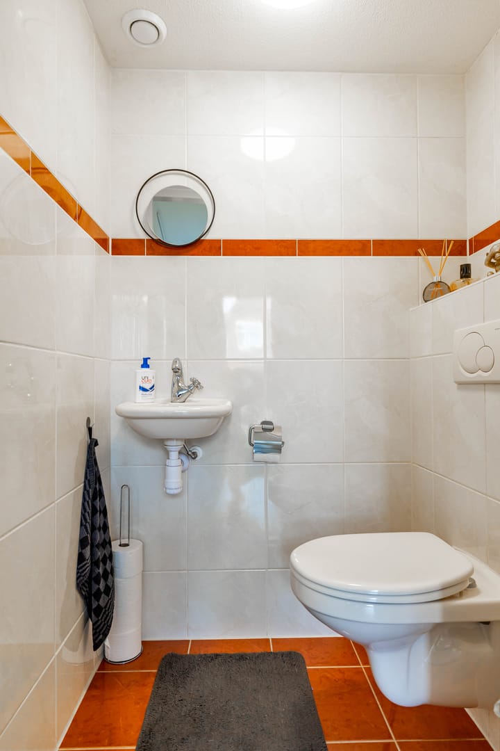 Photo 7 of Meerval 10