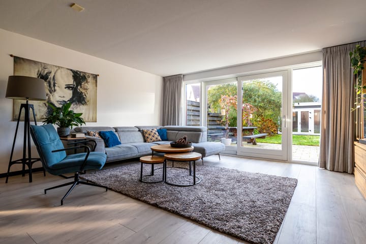 Photo 9 of Meerval 10