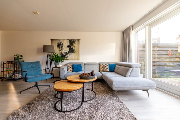 Photo 11 of Meerval 10