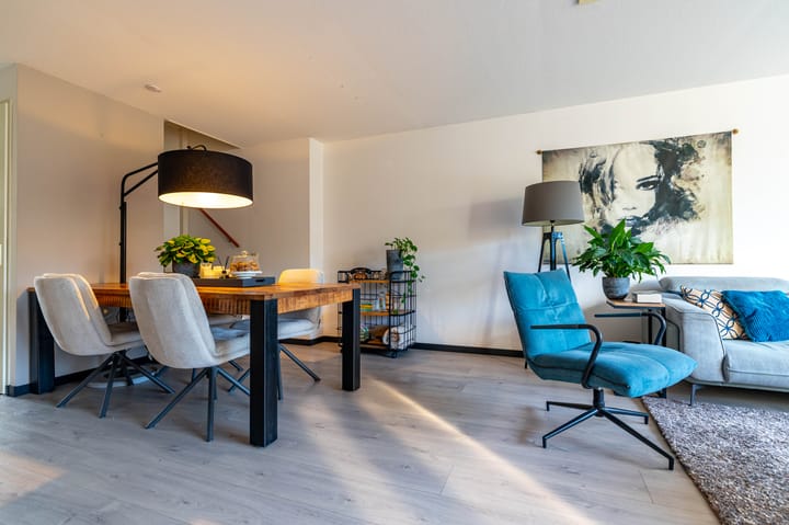 Photo 12 of Meerval 10