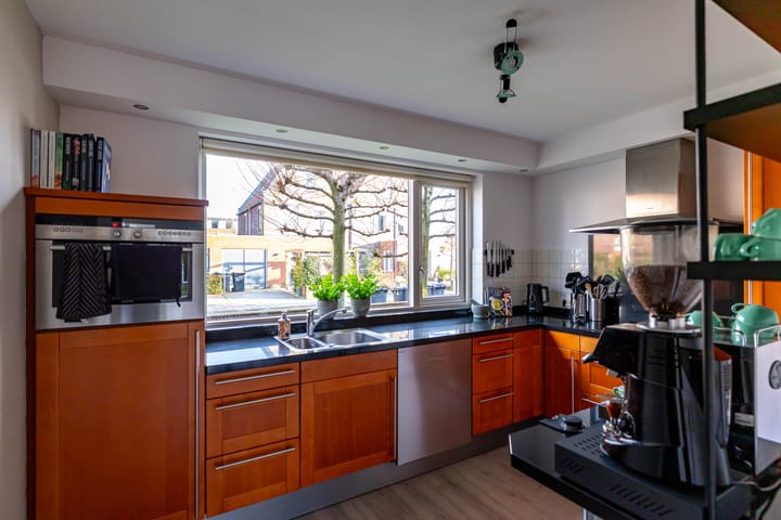 Photo 16 of Meerval 10