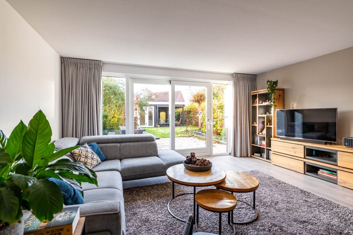 Photo 13 of Meerval 10