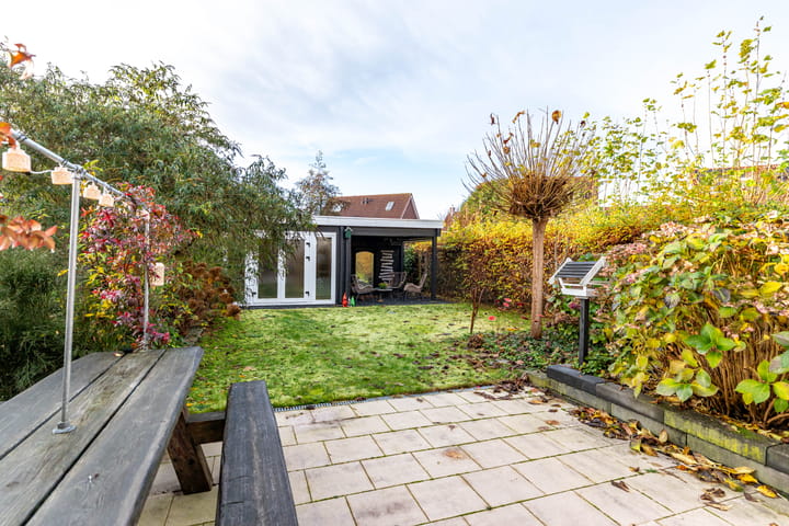 Photo 22 of Meerval 10