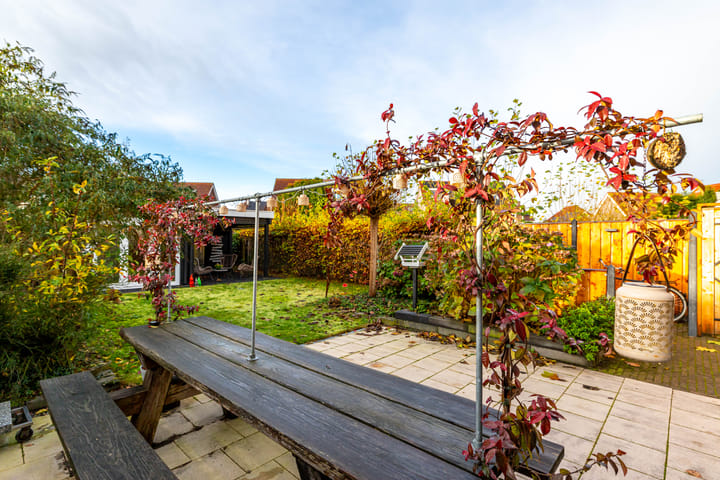 Photo 23 of Meerval 10