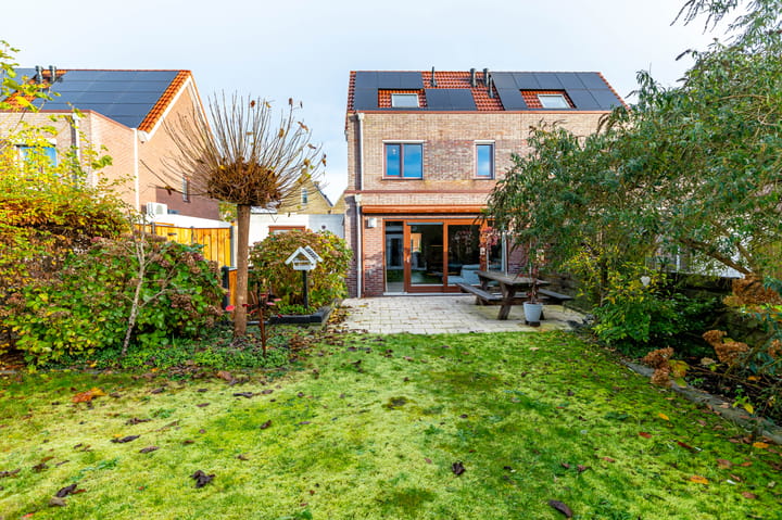 Photo 27 of Meerval 10