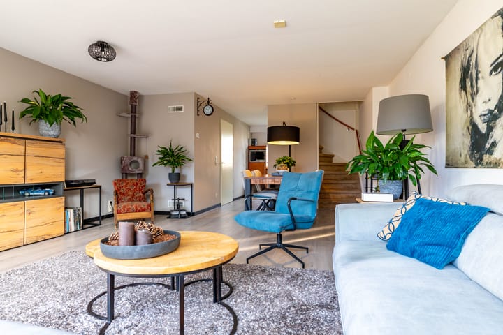 Photo 10 of Meerval 10