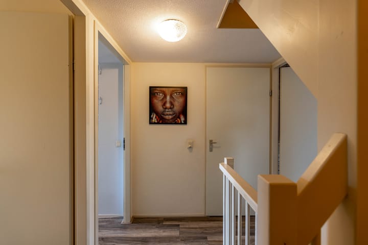 Photo 29 of Meerval 10