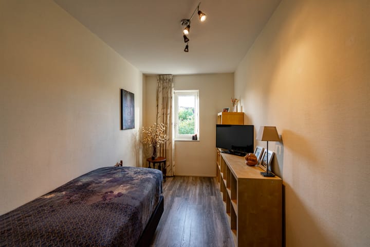 Photo 36 of Meerval 10