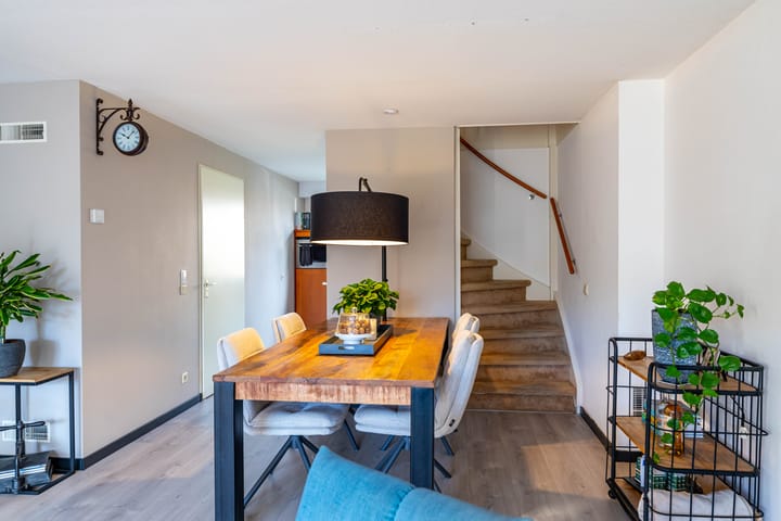 Photo 14 of Meerval 10