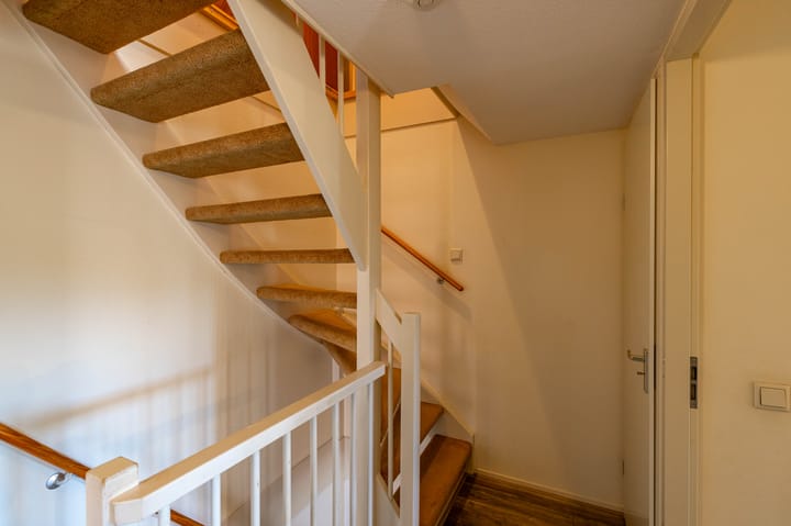 Photo 41 of Meerval 10