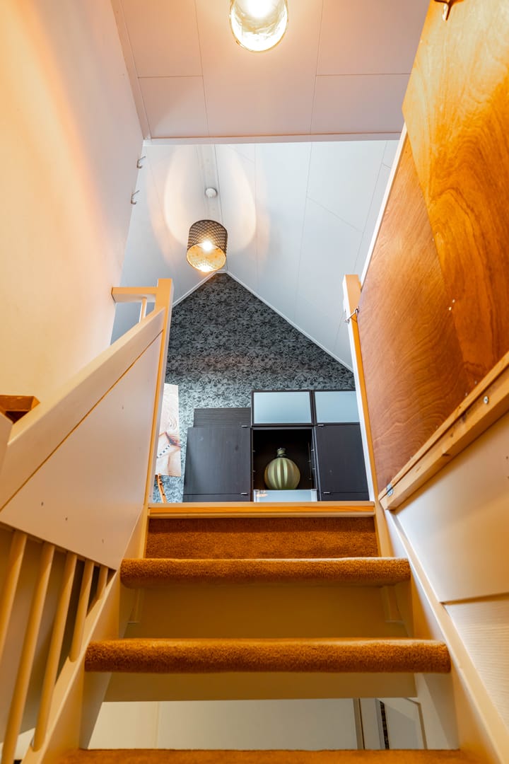 Photo 42 of Meerval 10