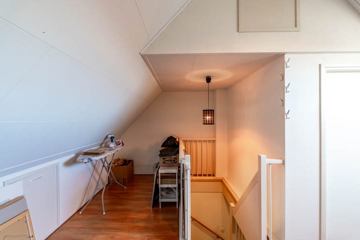 Photo 45 of Meerval 10