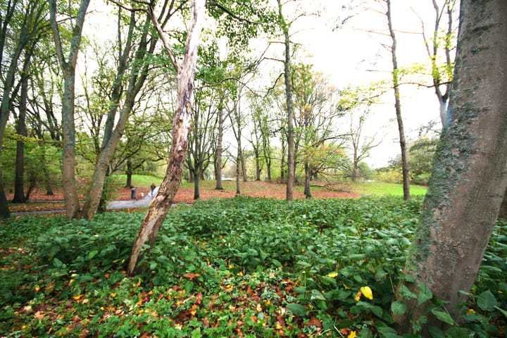 Photo 20 of Orteliuskade 8-H