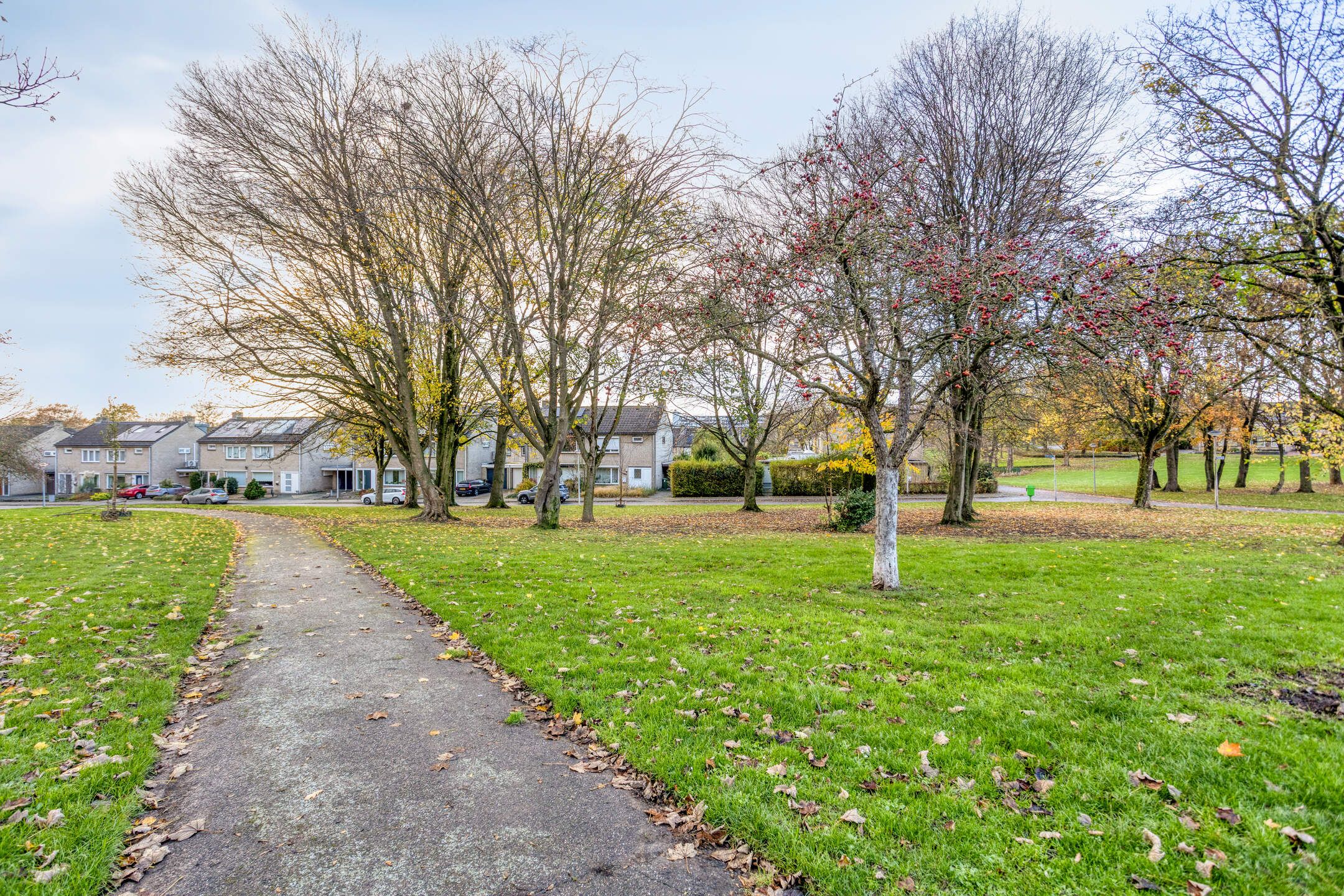 Photo 33 of Apollohof 95