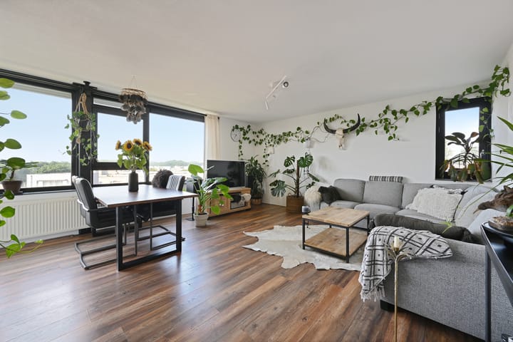 Photo 2 of Parnassia 39