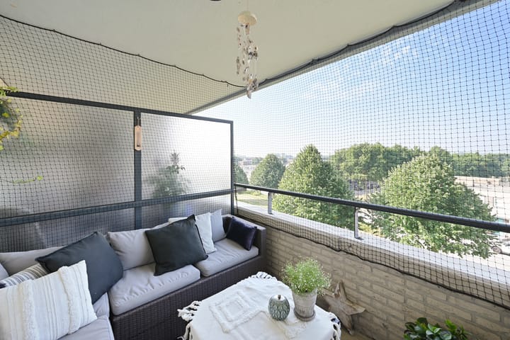 Photo 4 of Parnassia 39