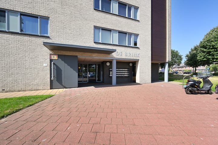 Photo 6 of Parnassia 39