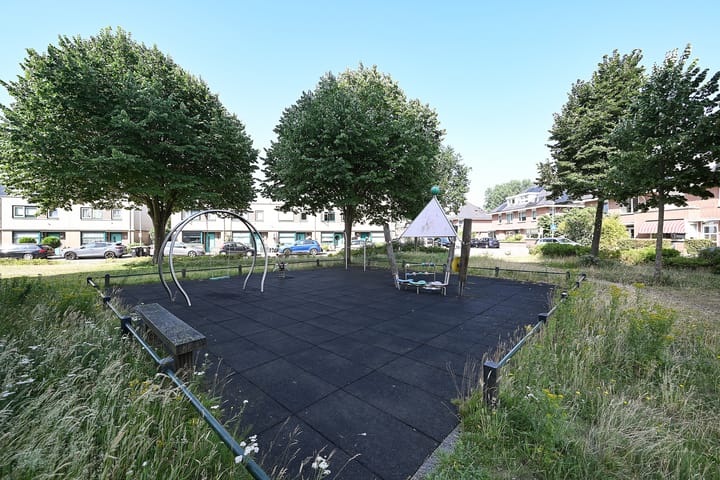 Photo 7 of Parnassia 39