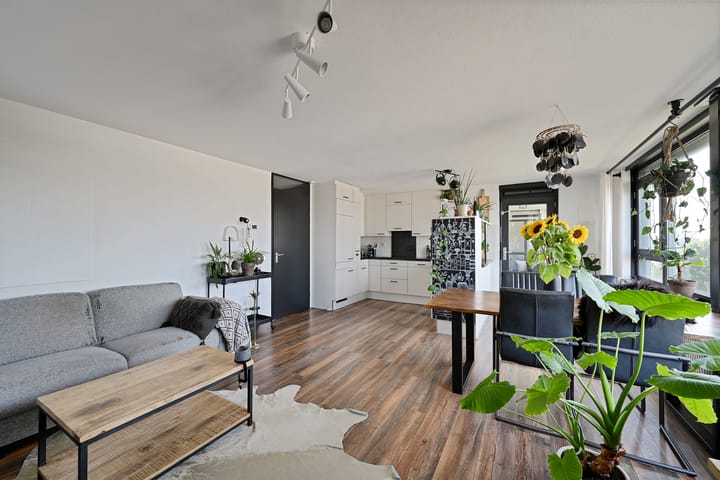 Photo 11 of Parnassia 39