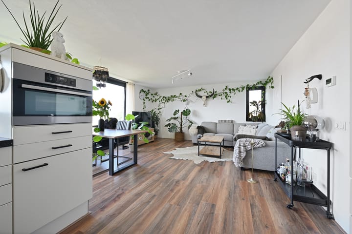 Photo 13 of Parnassia 39