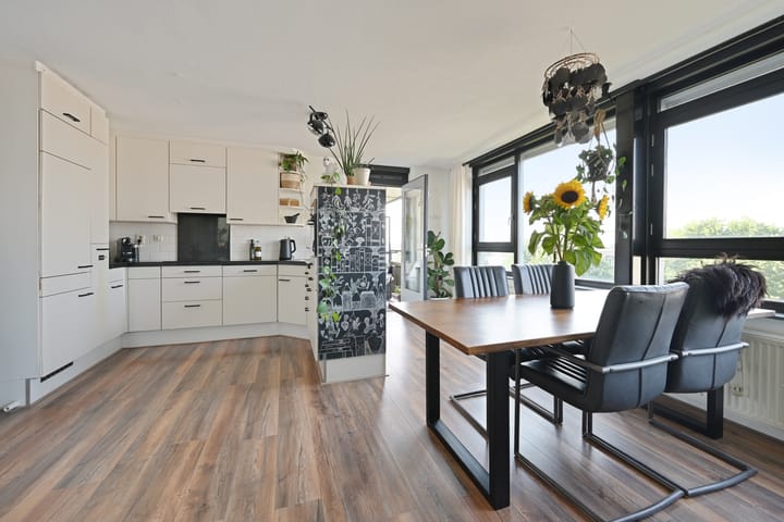 Photo 14 of Parnassia 39