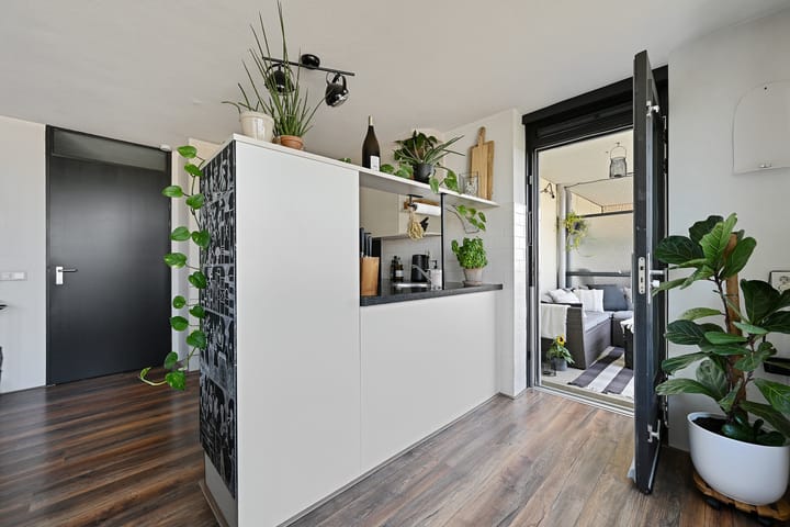 Photo 15 of Parnassia 39