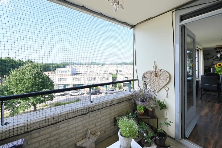 Photo 16 of Parnassia 39