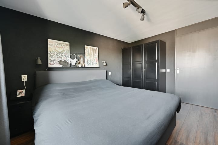 Photo 17 of Parnassia 39