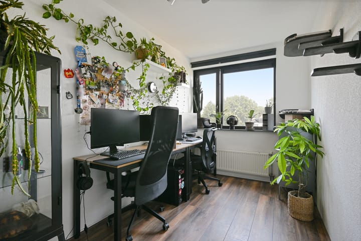 Photo 18 of Parnassia 39