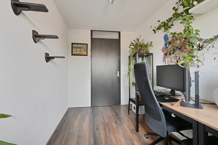 Photo 19 of Parnassia 39