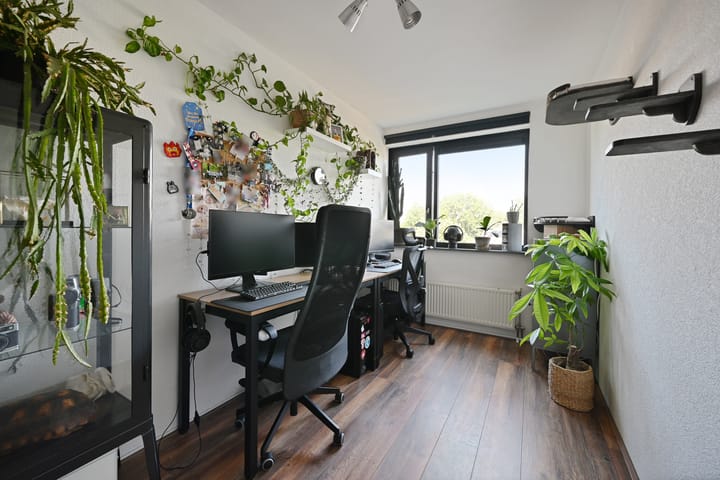 Photo 20 of Parnassia 39