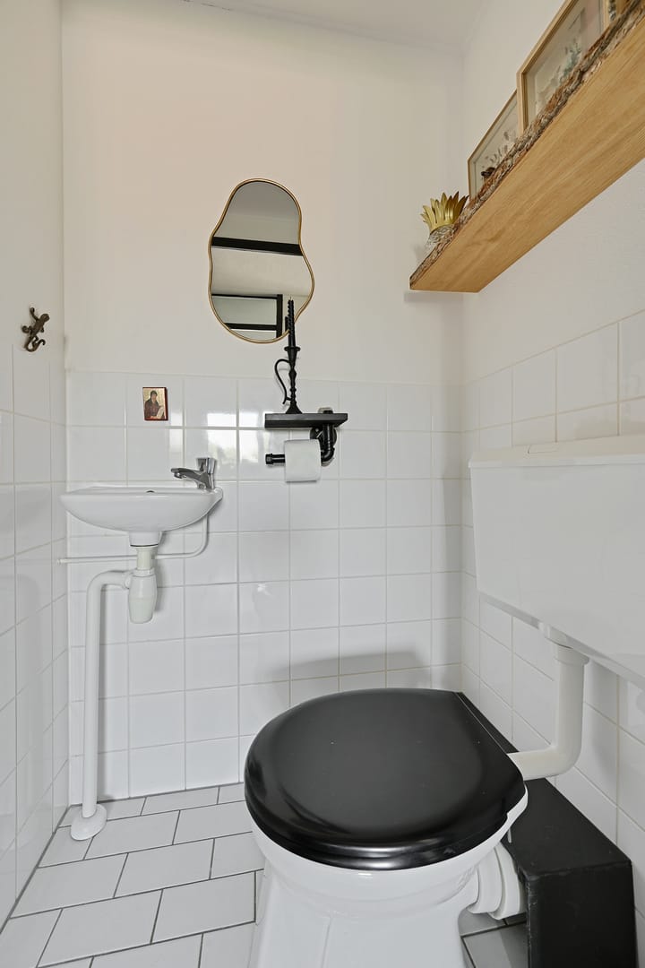 Photo 22 of Parnassia 39