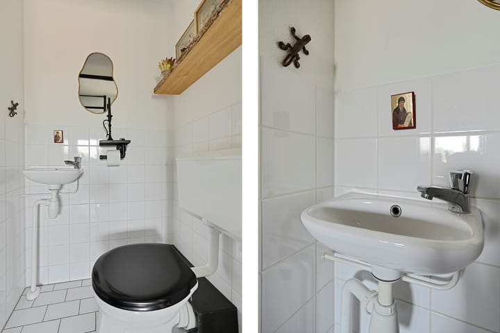 Photo 23 of Parnassia 39