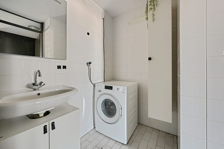 Photo 26 of Parnassia 39