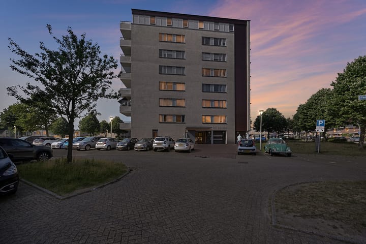 Photo 27 of Parnassia 39