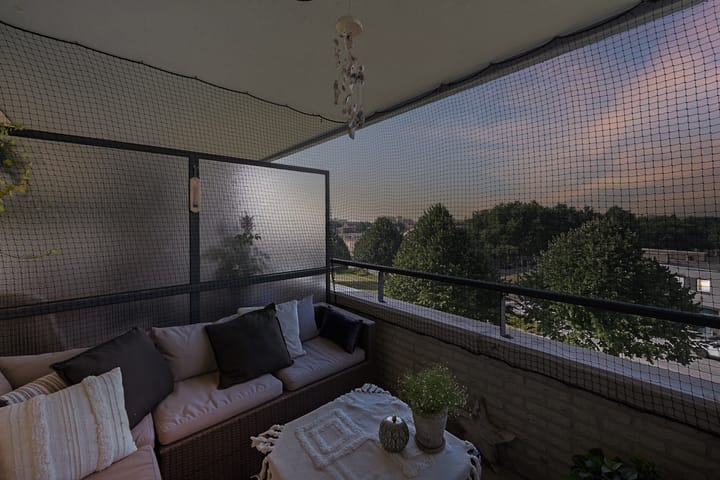 Photo 28 of Parnassia 39