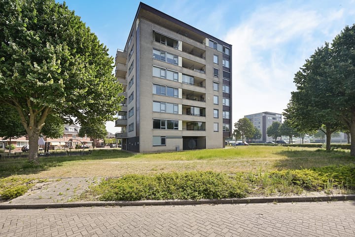 Photo 29 of Parnassia 39