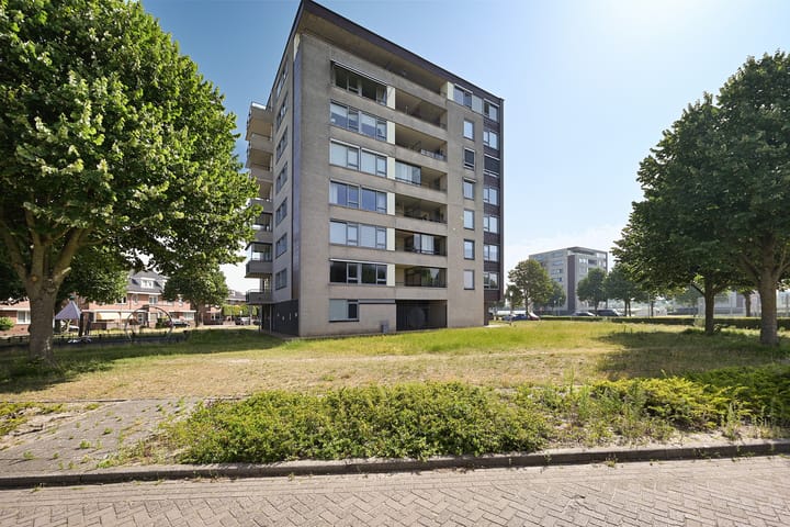 Photo 30 of Parnassia 39